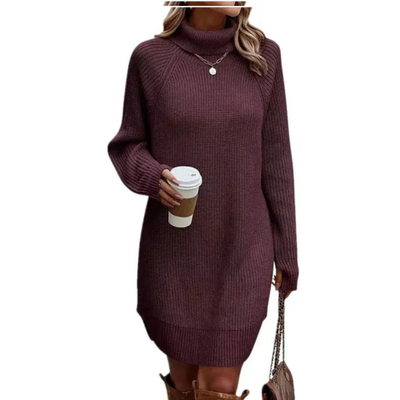 Strickkleid Mit Rollkragen Und Langen Ärmeln Für Damen | Mini