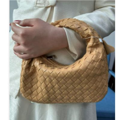 Damen Stylische Geflochtene Knotenhenkel Hand Tasche | Klein