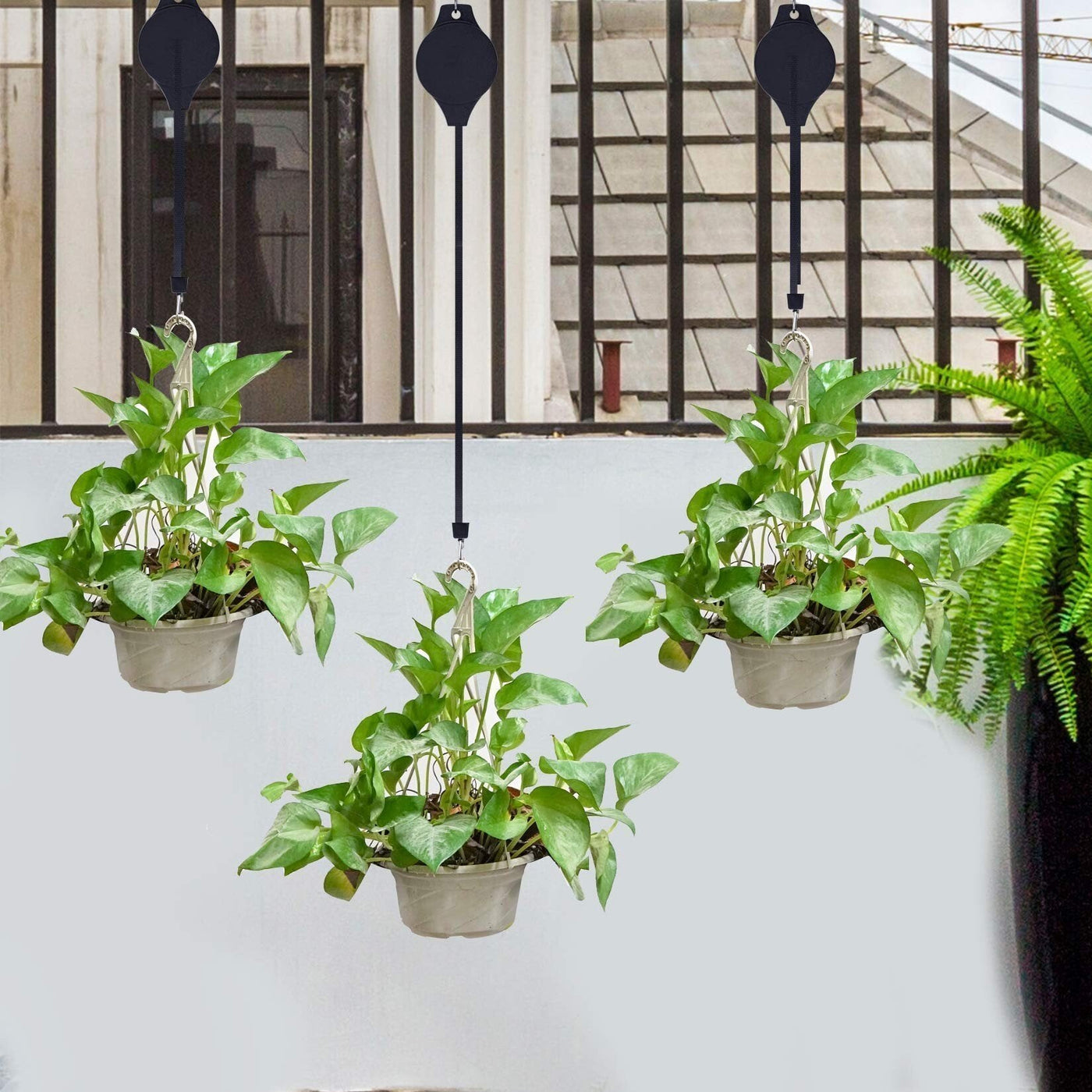 PflanzenLift™ Mühelose Pflanzenpflege