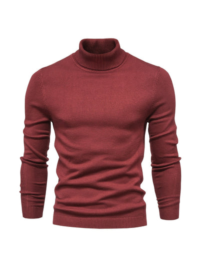 Eleganter Herren Rollkragenpullover aus Merinowolle