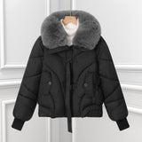 Damen kurzes Pilotenblouson mit voluminösem Schalkragen und Kordelzugsaum – Schwarz