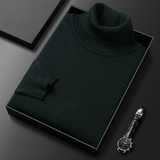 Armin | Herren Lässiger Rollkragenpullover für den Frühling – Grün