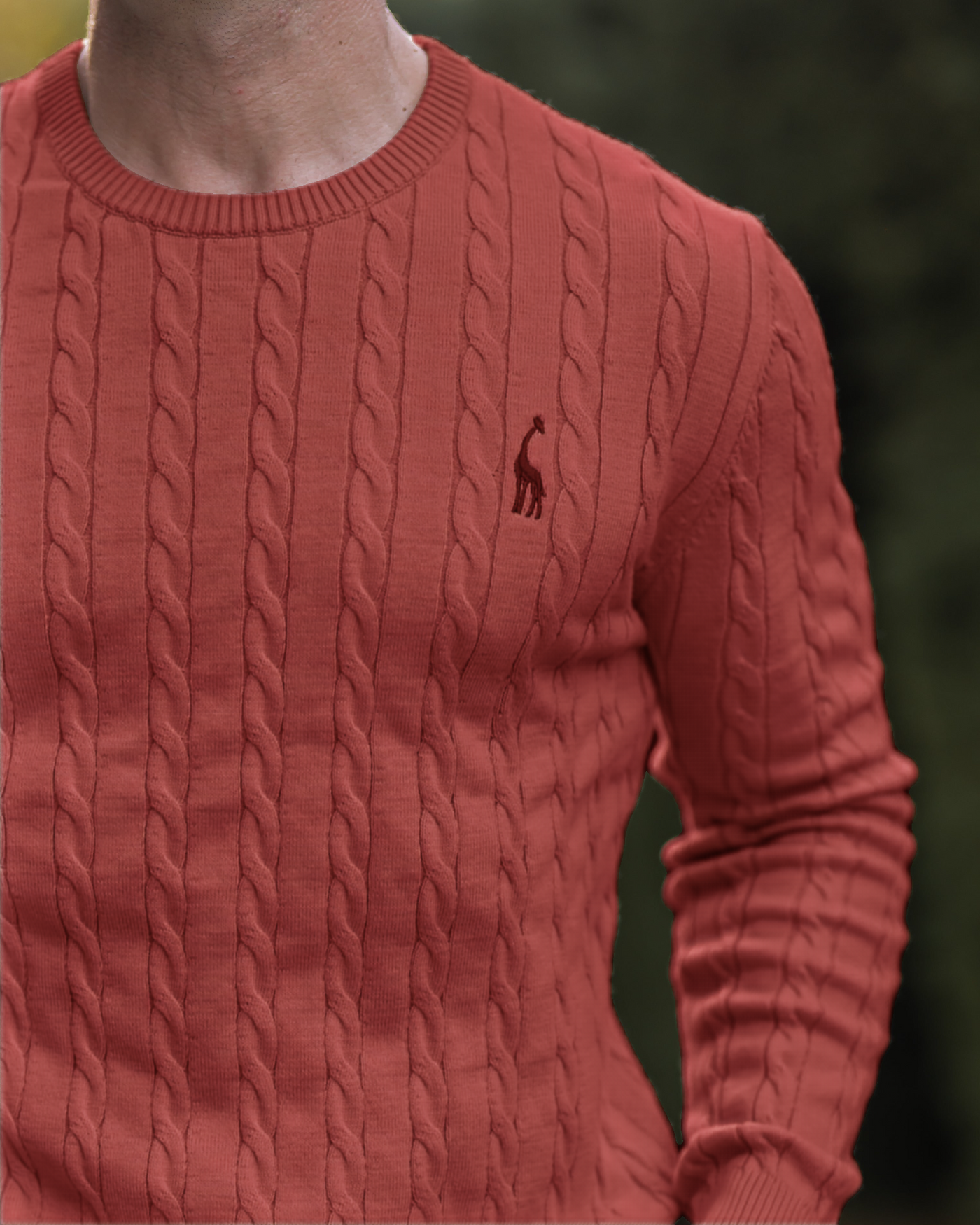 Zopfmuster Pullover für stilvolle Herren