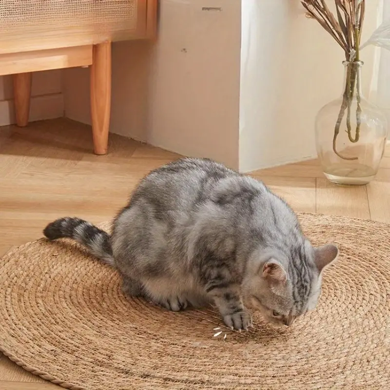 SchnurrMatte™ Schützt Möbelkanten