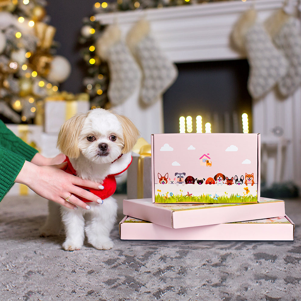 Coton de Tulear Pflanzgefäß