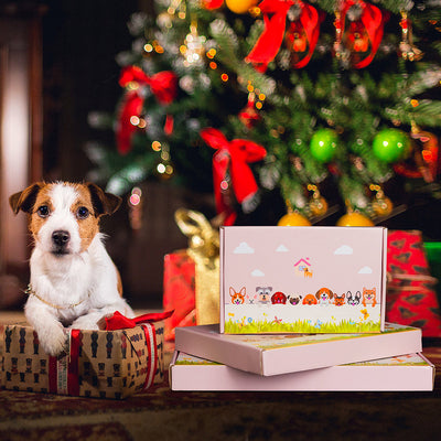 Civet Cat Flower Pot