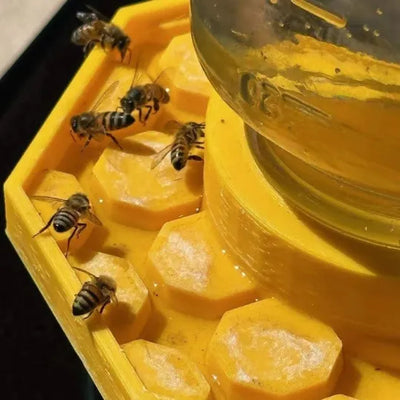 BienenQuelle™ Bienenfreundliche Wasserquelle