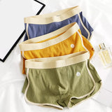 Zorvik | Baumwoll Brief Set – gelb-grun-blau