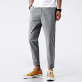 Emil | Hana Chino Hose in zeitloser Optik Herren – Grau